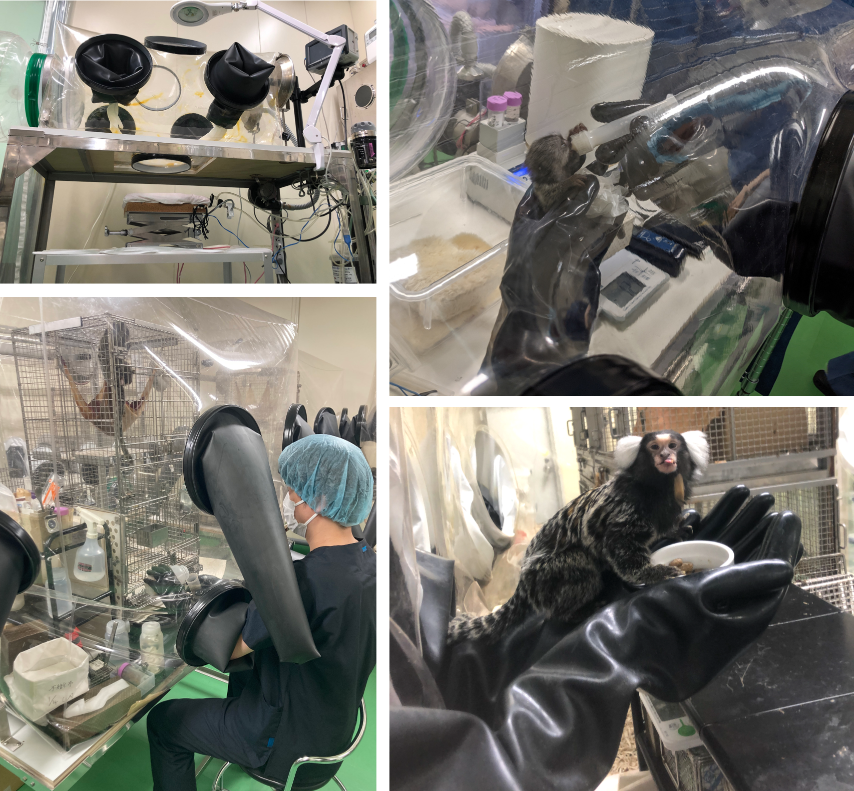 微生物制御研究室画像